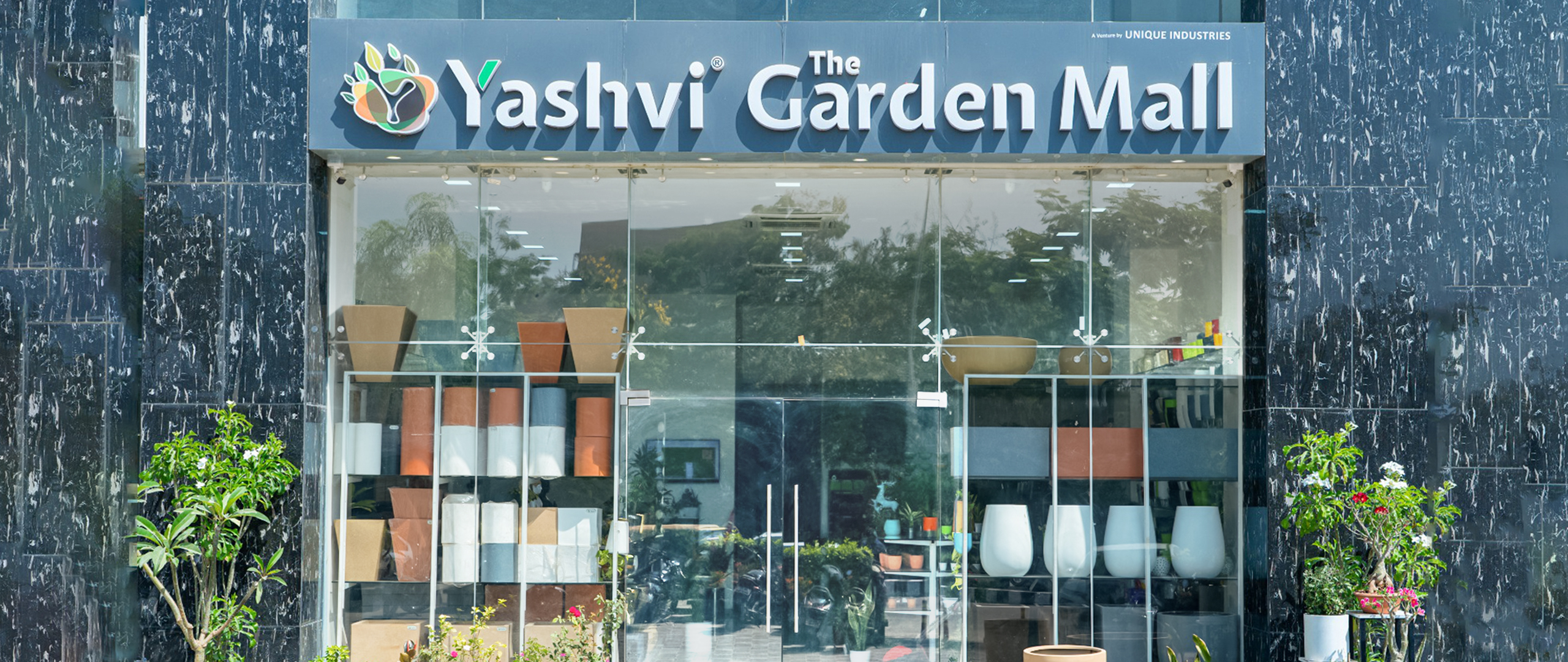 yashvi green mid background