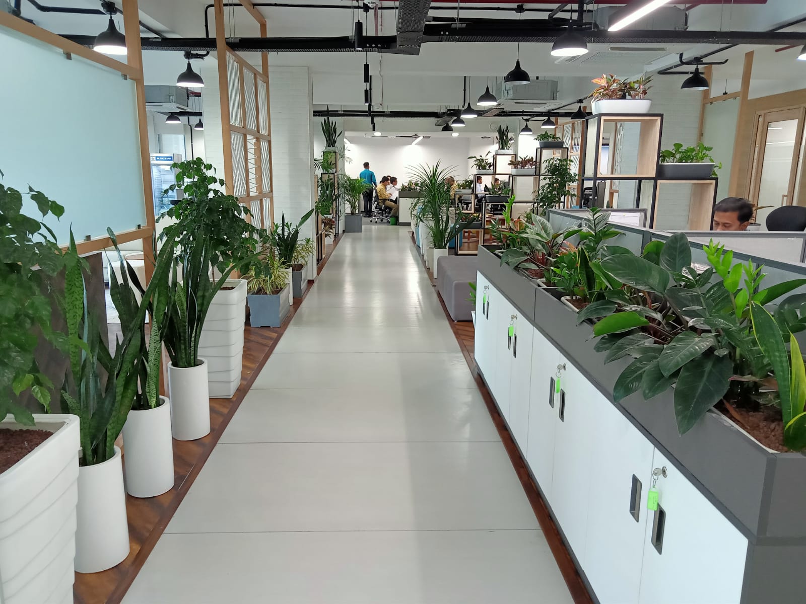 Eris Lifesciences Ltd