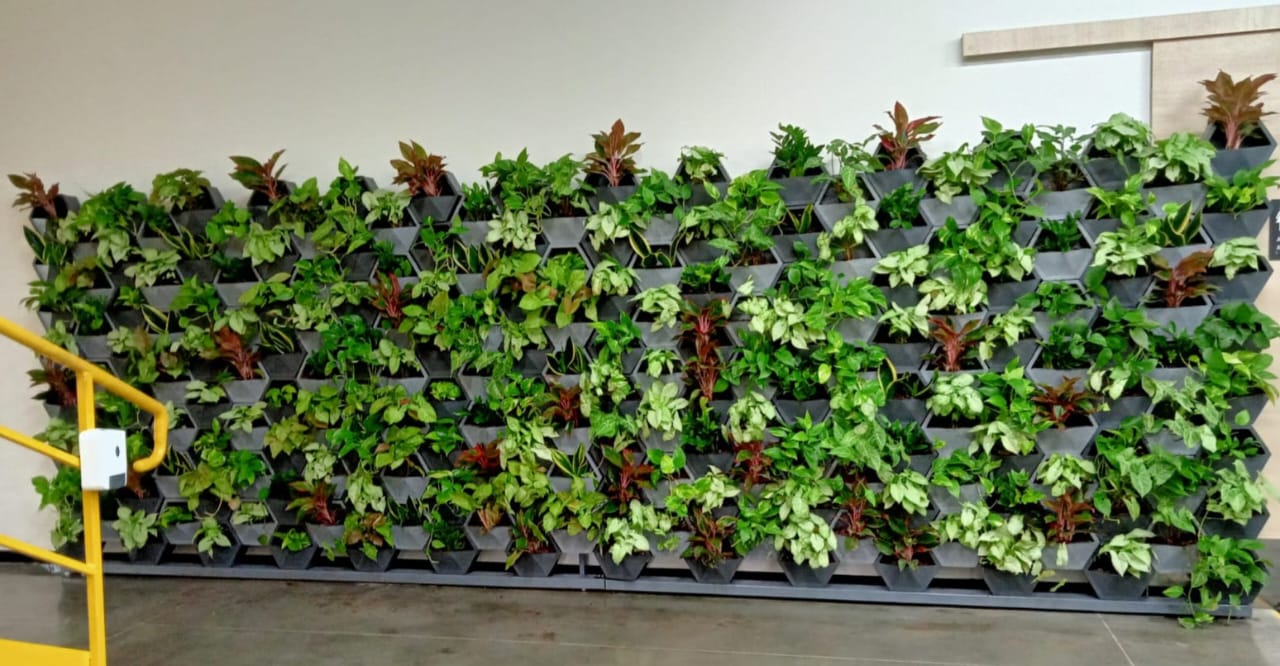 Lucknow Airport Twisted Green Wall by Yashvi Greens