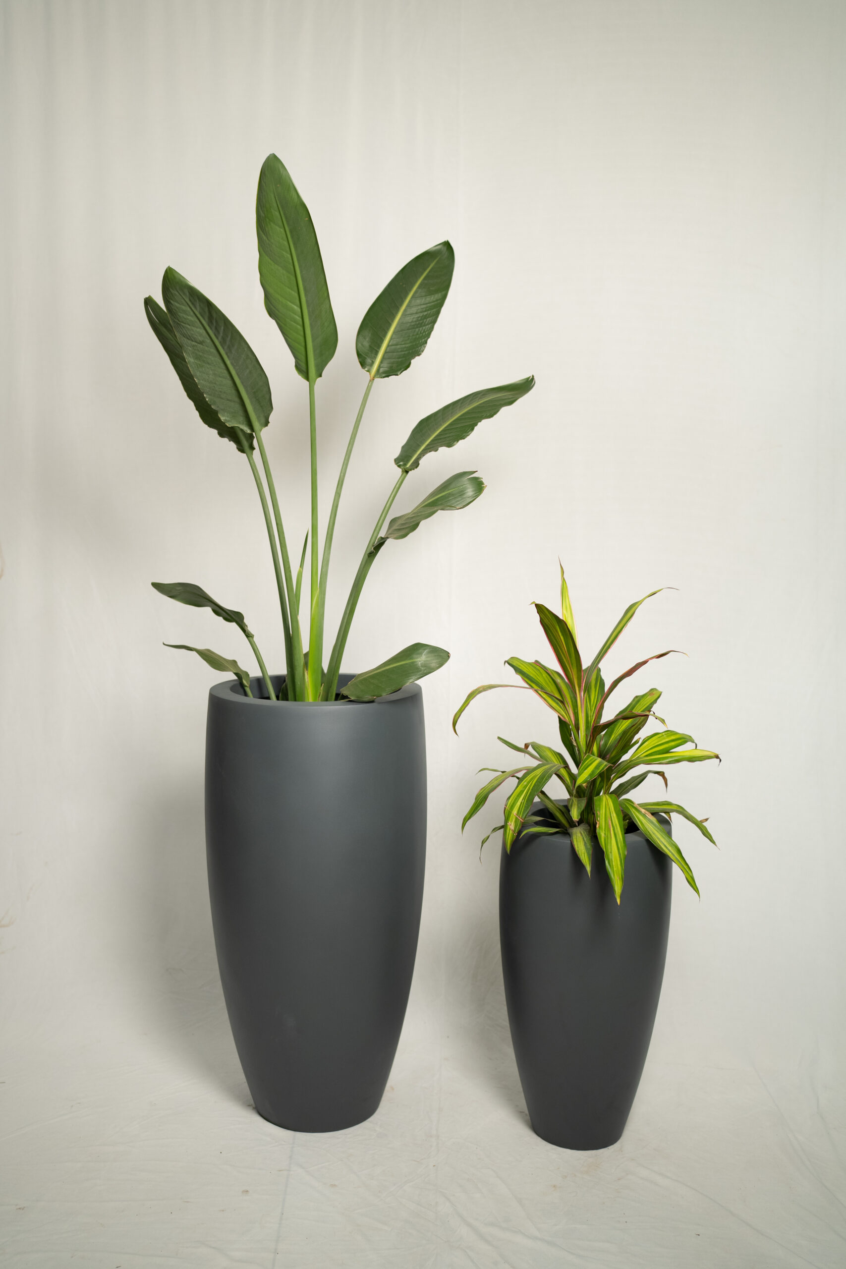 FRP & Roto Planters