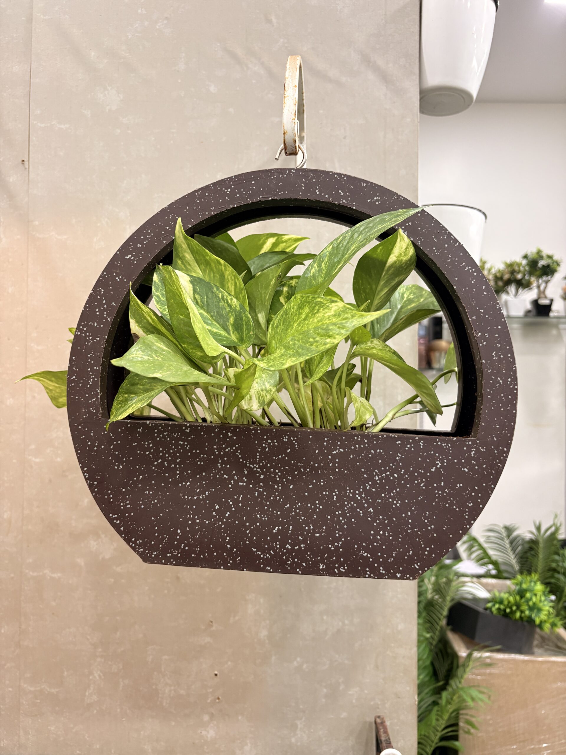 Roto-molded planter in sand finish