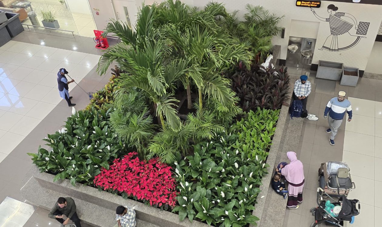 WhatsApp Image 2025-12-15 at 6.10.00 PM